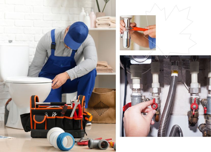 Residential Plumbing Specialists: Tailored Solutions for Homes